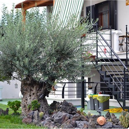 Bed and Breakfast Pompei Gryllus Exteriér fotografie
