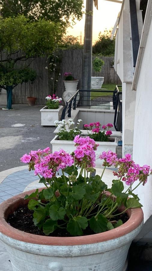Bed and Breakfast Pompei Gryllus Exteriér fotografie