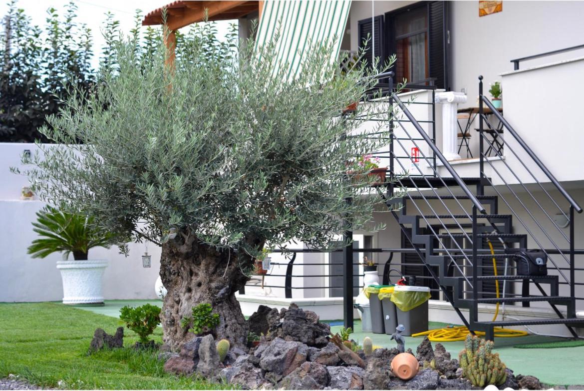 Bed and Breakfast Pompei Gryllus Exteriér fotografie